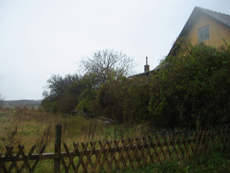 08