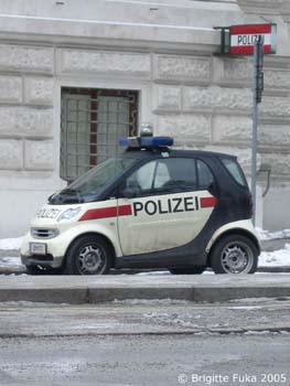 Der Dienstwagen