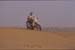 10_ACTION7