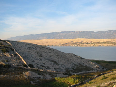 29-